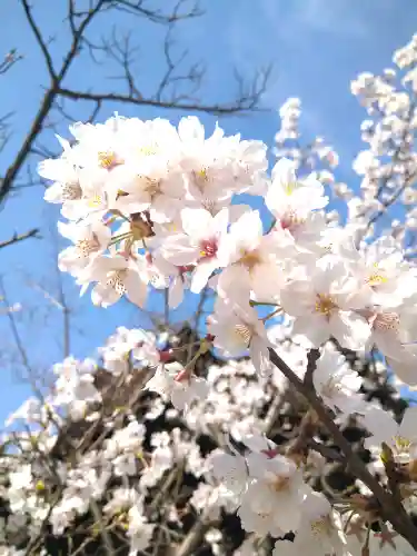 足高神社の自然