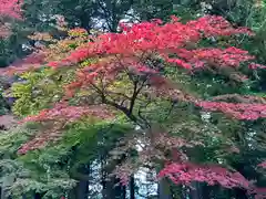 北口本宮冨士浅間神社(山梨県)