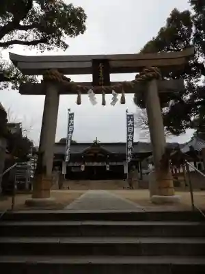大日女尊神社の{uncategorized: "未分類", other: "その他", undefined: "問題あり", building: "その他建物", grave: "お墓", sacred_gate: "鳥居", guardian: "狛犬", statue: "像", buddha: "仏像", history: "歴史", nature: "自然", garden: "庭園", animal: "動物", pagoda: "塔", temizu: "手水舎", mountain_gate: "山門・神門", sanctuary: "本殿・本堂", subordinate: "末社・摂社", art: "芸術", scenery: "景色", jizo: "地蔵", ema: "絵馬", goshuin: "御朱印", omikuji: "おみくじ", items: "授与品その他", amulet: "お守り", goshuincho: "御朱印帳", eats: "食事", festival: "お祭り", votive_dance: "神楽", shichigosan: "七五三参", wedding: "結婚式", experience: "体験その他", initially: "初詣", around: "周辺", anti_infection: "感染症対策"}