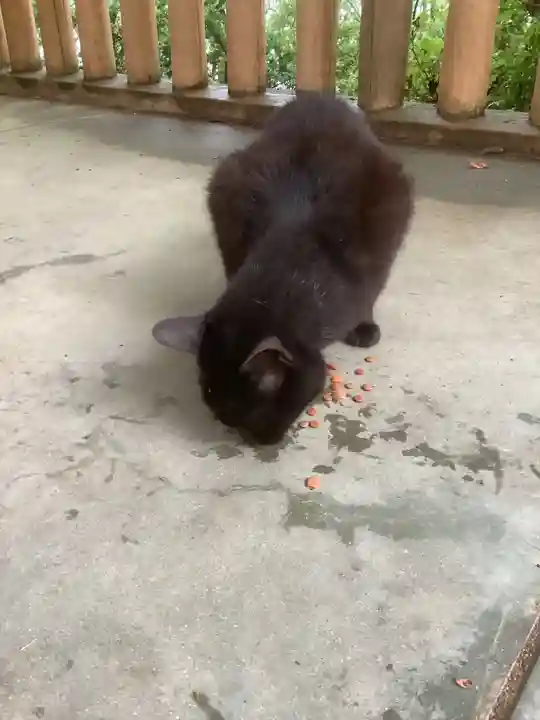 玉野御嶽神社(愛知県)
