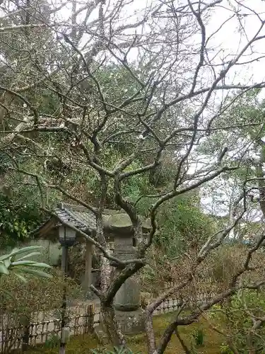 安國論寺（安国論寺）の自然
