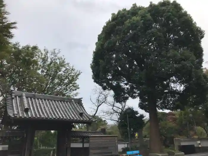 了源寺の建物その他