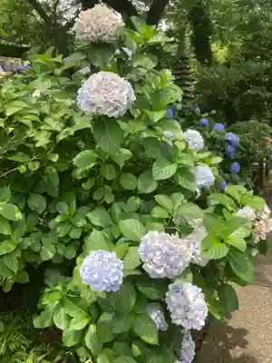 妙楽寺(神奈川県)