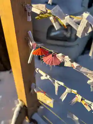 札幌諏訪神社のおみくじ