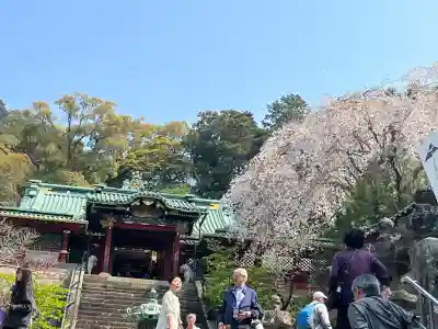 久能山東照宮の{uncategorized: "未分類", other: "その他", undefined: "問題あり", building: "その他建物", grave: "お墓", sacred_gate: "鳥居", guardian: "狛犬", statue: "像", buddha: "仏像", history: "歴史", nature: "自然", garden: "庭園", animal: "動物", pagoda: "塔", temizu: "手水舎", mountain_gate: "山門・神門", sanctuary: "本殿・本堂", subordinate: "末社・摂社", art: "芸術", scenery: "景色", jizo: "地蔵", ema: "絵馬", goshuin: "御朱印", omikuji: "おみくじ", items: "授与品その他", amulet: "お守り", goshuincho: "御朱印帳", eats: "食事", festival: "お祭り", votive_dance: "神楽", shichigosan: "七五三参", wedding: "結婚式", experience: "体験その他", initially: "初詣", around: "周辺", anti_infection: "感染症対策"}