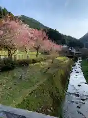 西雲寺の自然