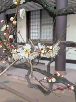 熊野神社(東京都)
