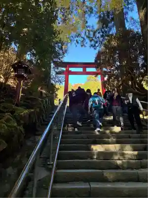 箱根神社(神奈川県)