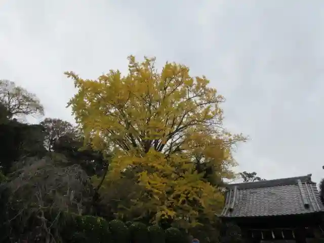 長勝寺(神奈川県)