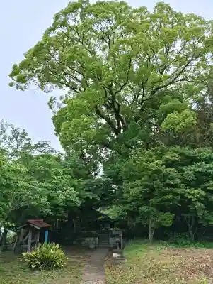 一瀬王子跡の{uncategorized: "未分類", other: "その他", undefined: "問題あり", building: "その他建物", grave: "お墓", sacred_gate: "鳥居", guardian: "狛犬", statue: "像", buddha: "仏像", history: "歴史", nature: "自然", garden: "庭園", animal: "動物", pagoda: "塔", temizu: "手水舎", mountain_gate: "山門・神門", sanctuary: "本殿・本堂", subordinate: "末社・摂社", art: "芸術", scenery: "景色", jizo: "地蔵", ema: "絵馬", goshuin: "御朱印", omikuji: "おみくじ", items: "授与品その他", amulet: "お守り", goshuincho: "御朱印帳", eats: "食事", festival: "お祭り", votive_dance: "神楽", shichigosan: "七五三参", wedding: "結婚式", experience: "体験その他", initially: "初詣", around: "周辺", anti_infection: "感染症対策"}