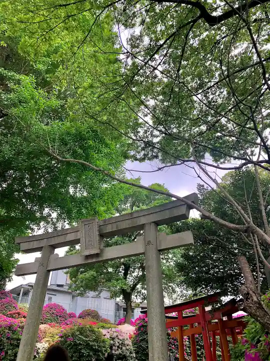 根津神社の鳥居