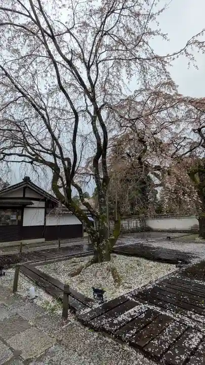 醍醐寺(京都府)
