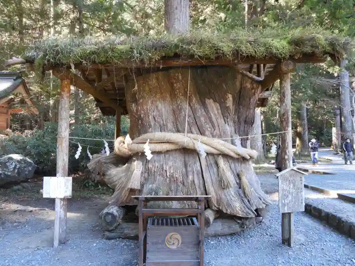 小國神社(静岡県)