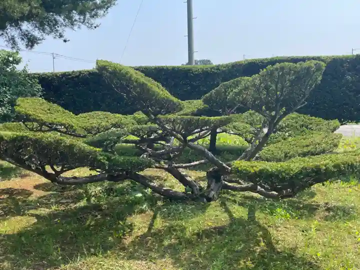 士幌神社の自然