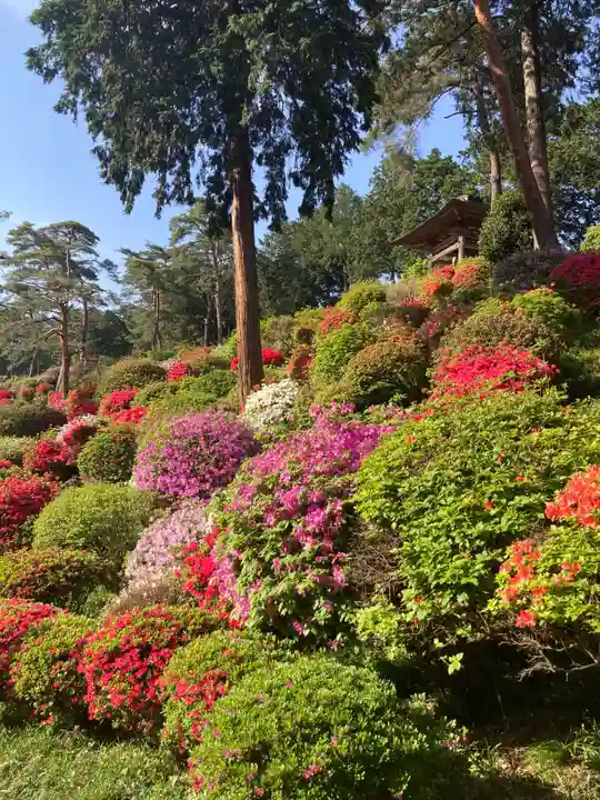 塩船観音寺(東京都)