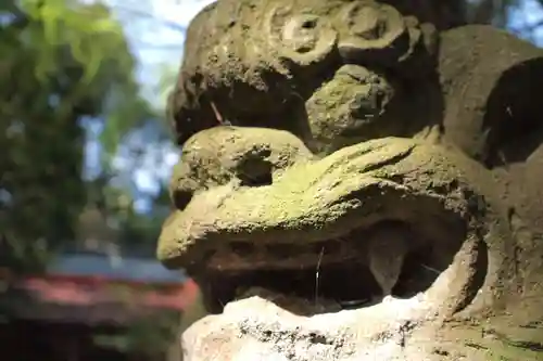 塙田八幡宮の狛犬