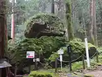 戸隠神社の自然