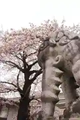 白山神社の狛犬