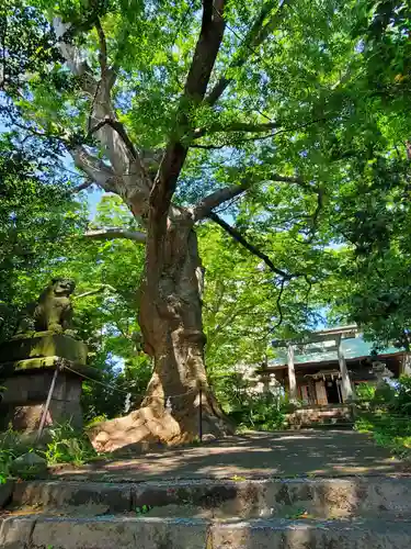 愛宕神社(福島県)