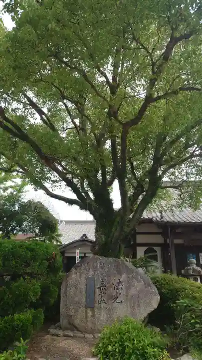 密蔵院(三重県)