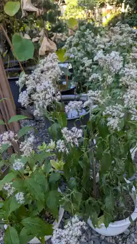 行願寺（革堂）(京都府)