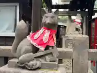浅草神社の狛犬