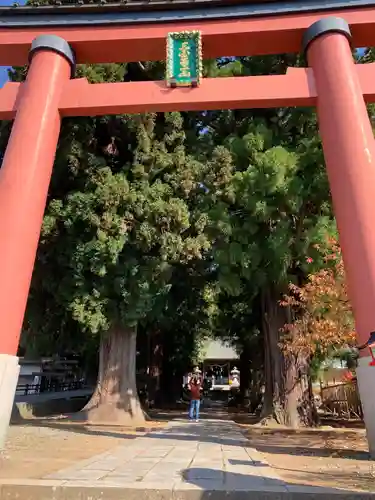 河口浅間神社の鳥居