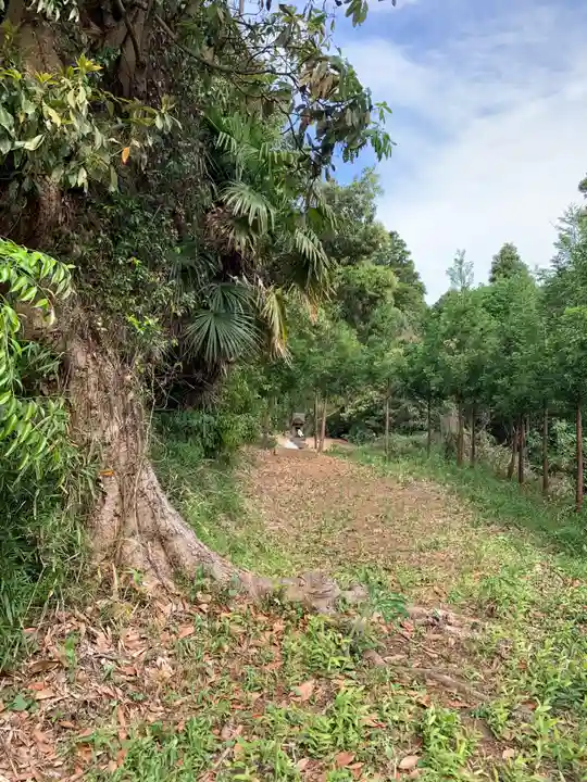 大宮神社(千葉県)