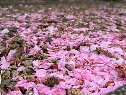 発寒神社の自然