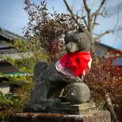 尾曳稲荷神社の狛犬