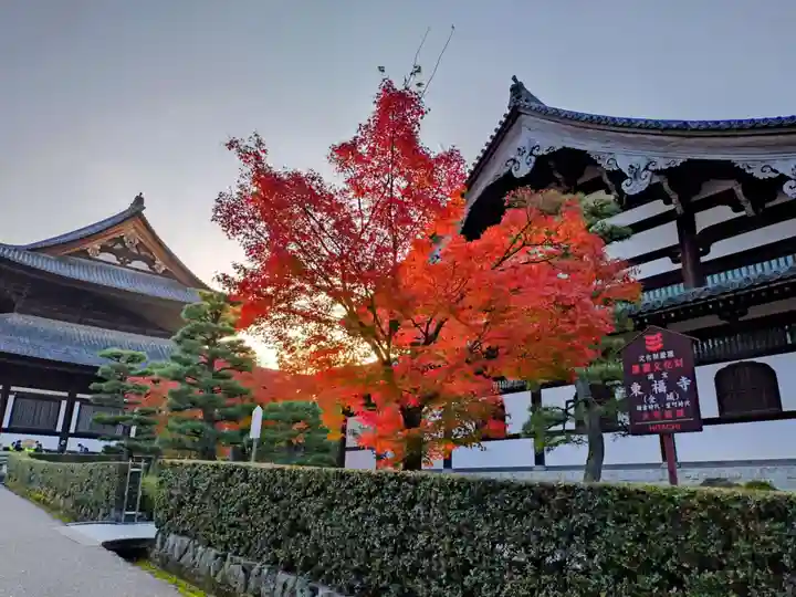 東福禅寺(東福寺)(京都府)