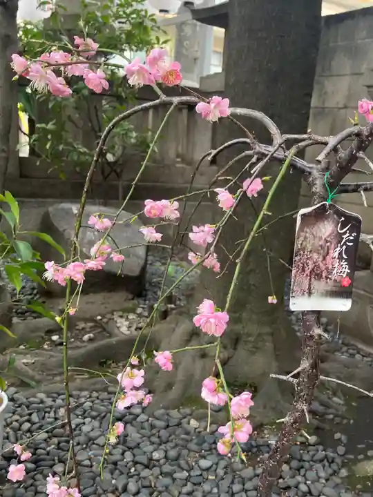 サムハラ神社(大阪府)