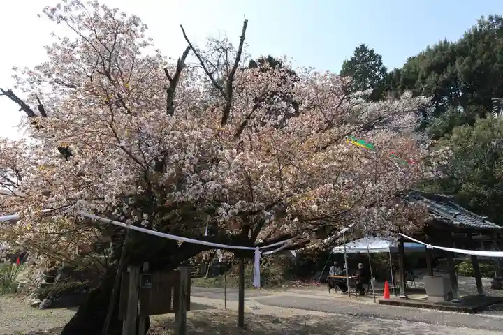長福寺(愛知県)