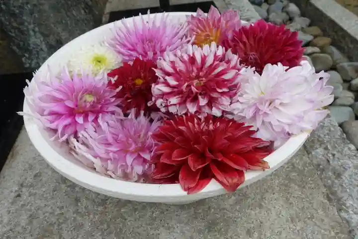 岡寺(龍蓋寺)(奈良県)