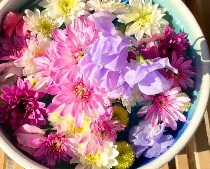 法輪寺(東京都)