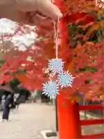 賀茂御祖神社(下鴨神社)(京都府)