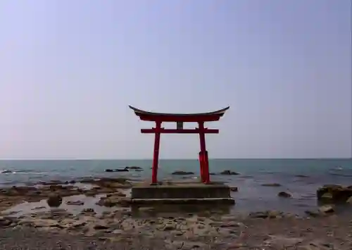 金比羅神社の鳥居