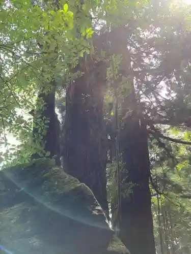 北野神社(栃木県)