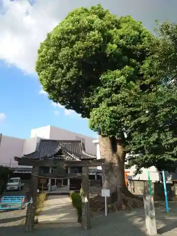 田代外町天満宮(佐賀県)