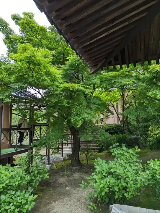 法金剛院(京都府)