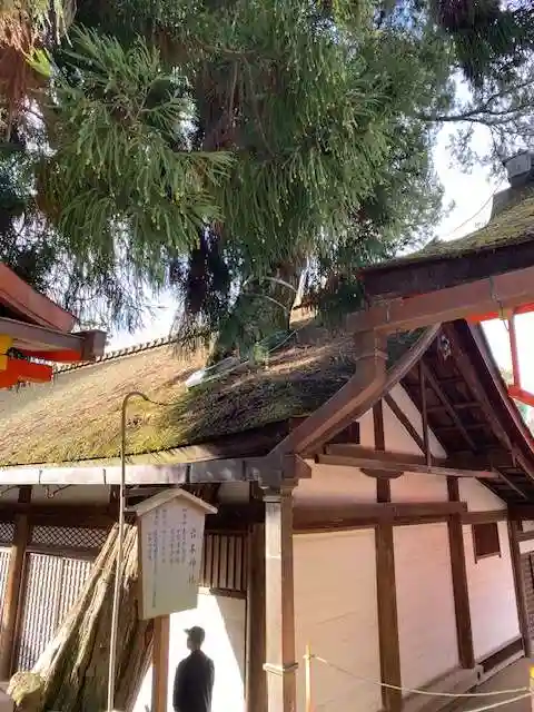 春日大社(奈良県)