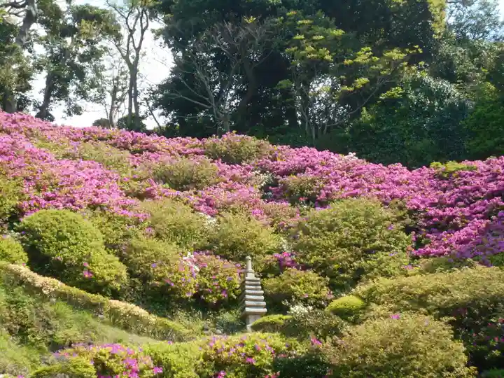 仏行寺(佛行寺)の庭園