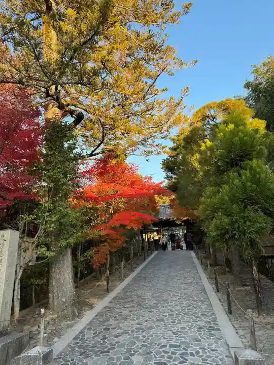 慈照寺(慈照禅寺・銀閣寺)(京都府)