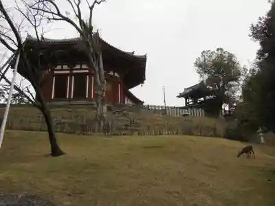 興福寺の本殿・本堂