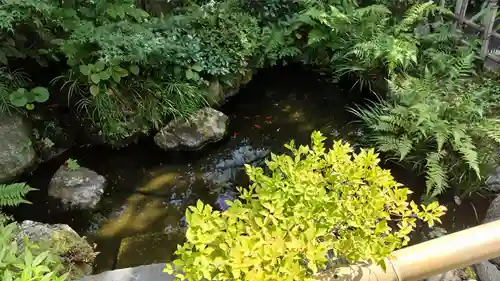 霊源院(京都府)