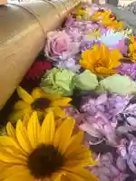 花手水
GWver.