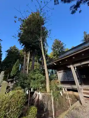 櫛引八幡宮(青森県)