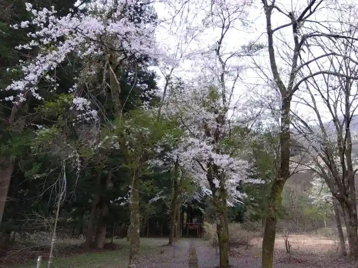 白龍神社(福井県)