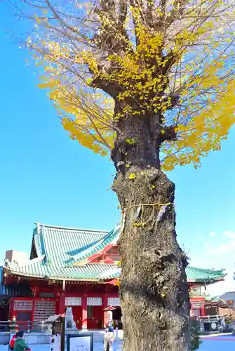 神田神社（神田明神）(東京都)