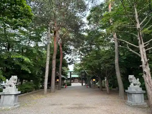 琴似神社(北海道)